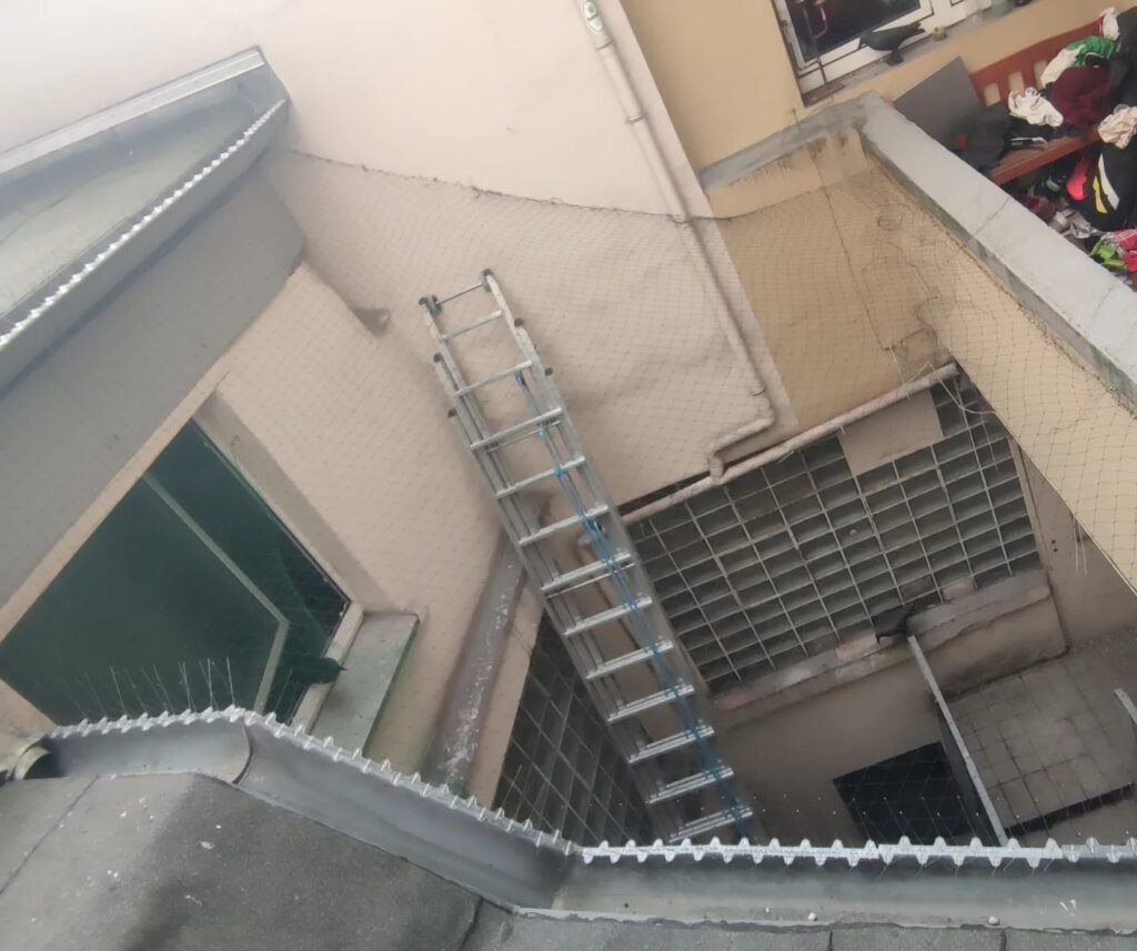 Herr Rosendahl im Einsatz